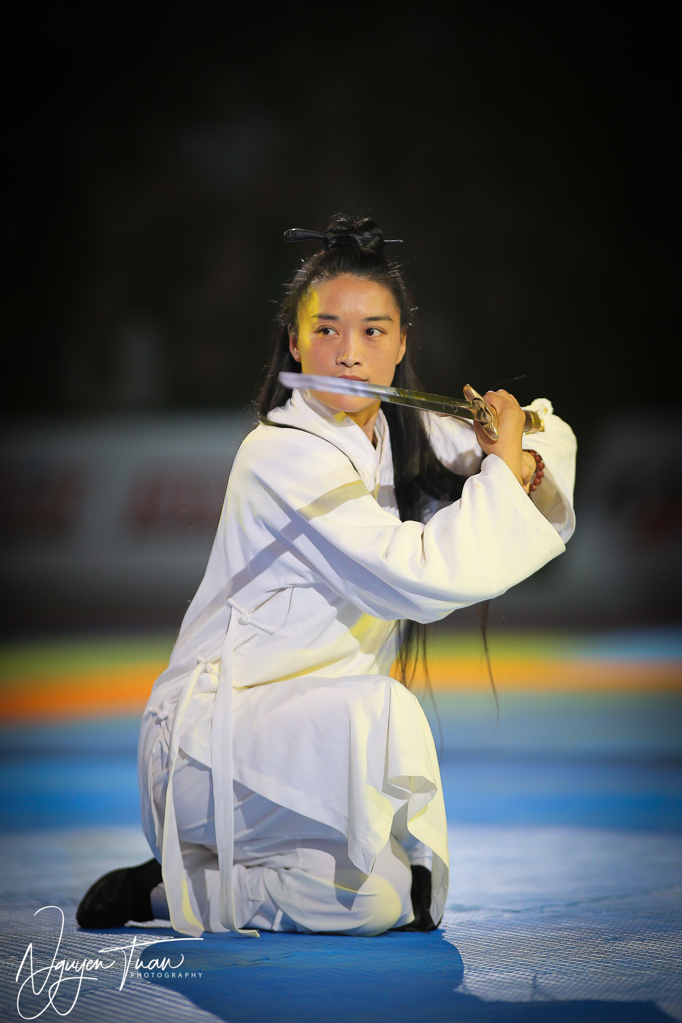 20190324 Festival des Arts Martiaux 2421